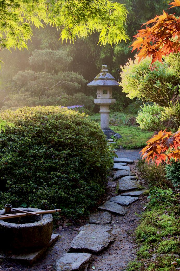 pagoda en milieu